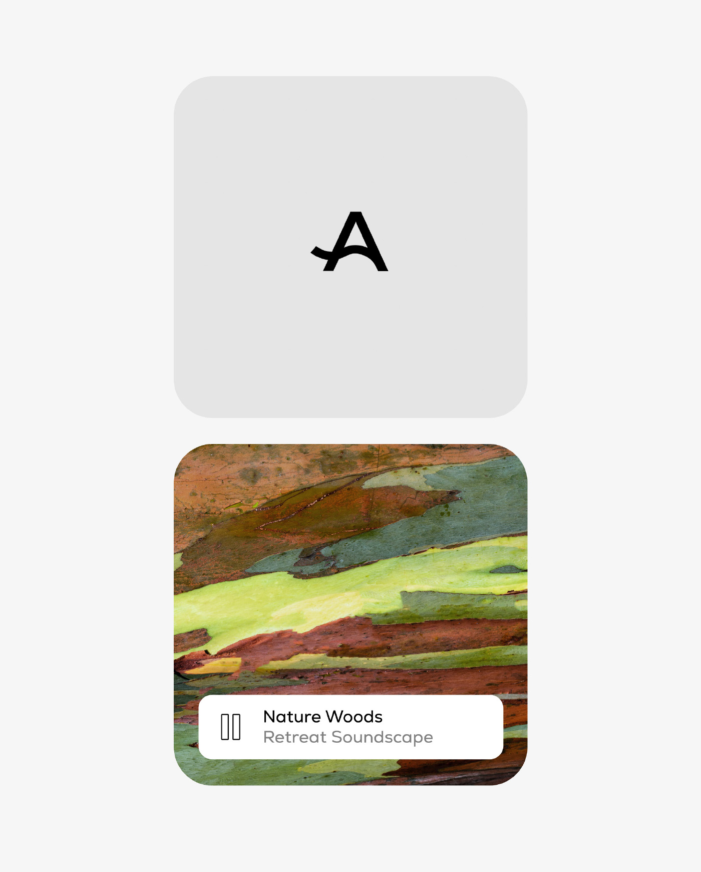 antless_wood-soundscape_1400x1740@2x