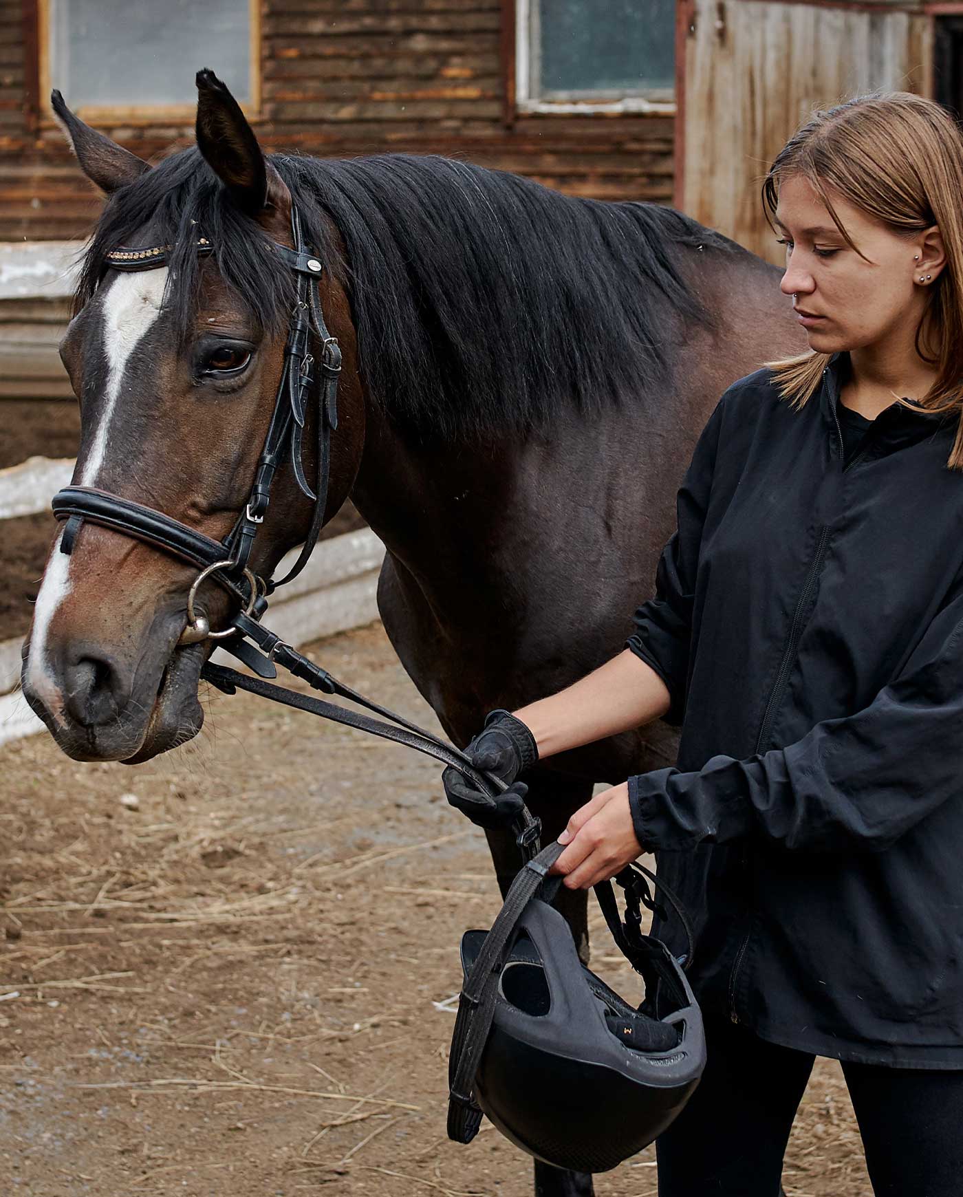 monsberger_gif-4_horse_1400x1740@2x