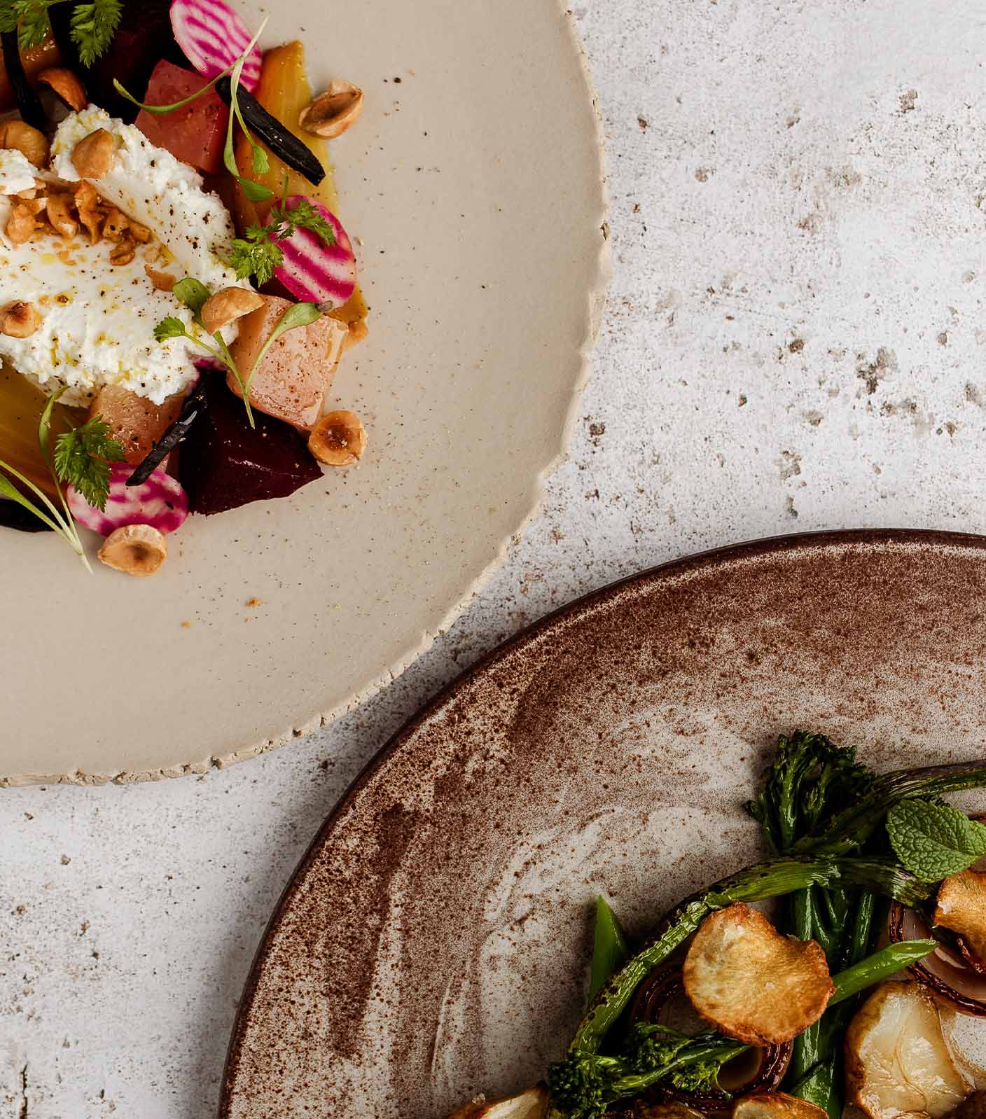 Two healthy, delicious, vegetarian dishes on ceramic plates on a white concrete table shot from above.