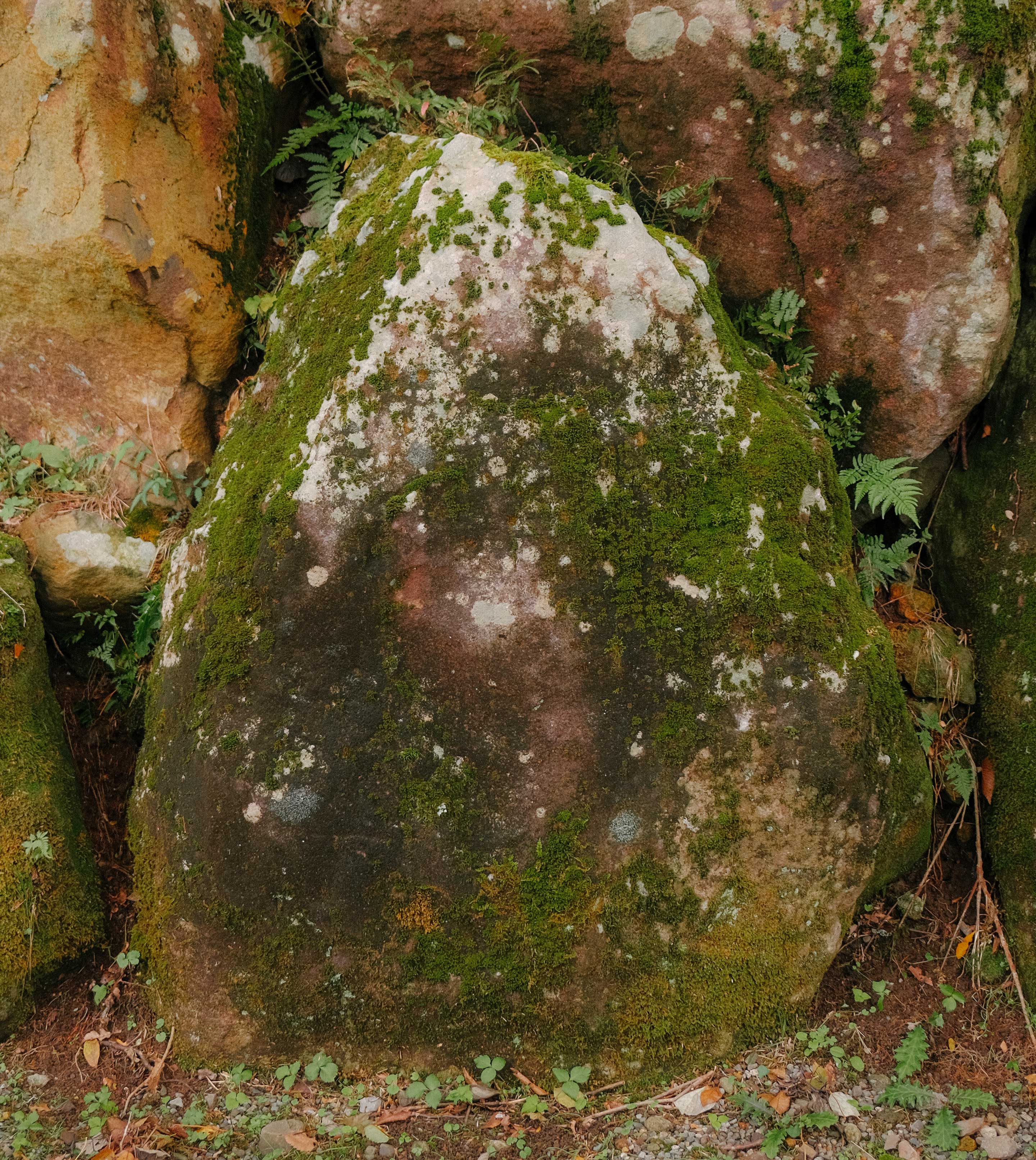 rawty_home_japan-moss@2x