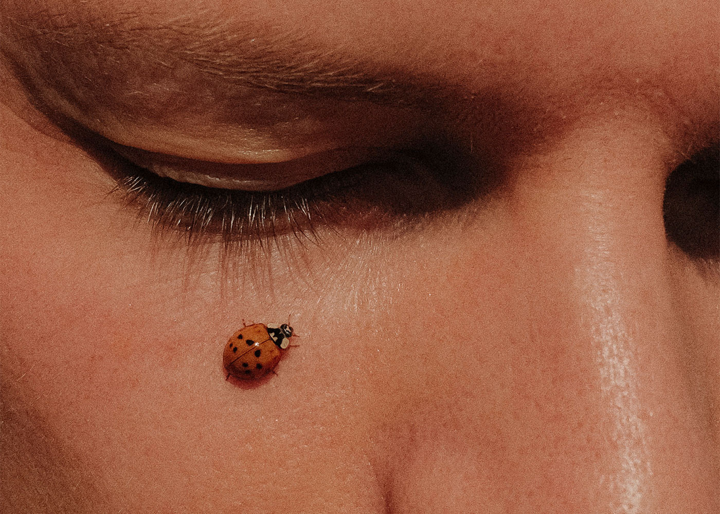 rawty_key-visual-ladybug@2x