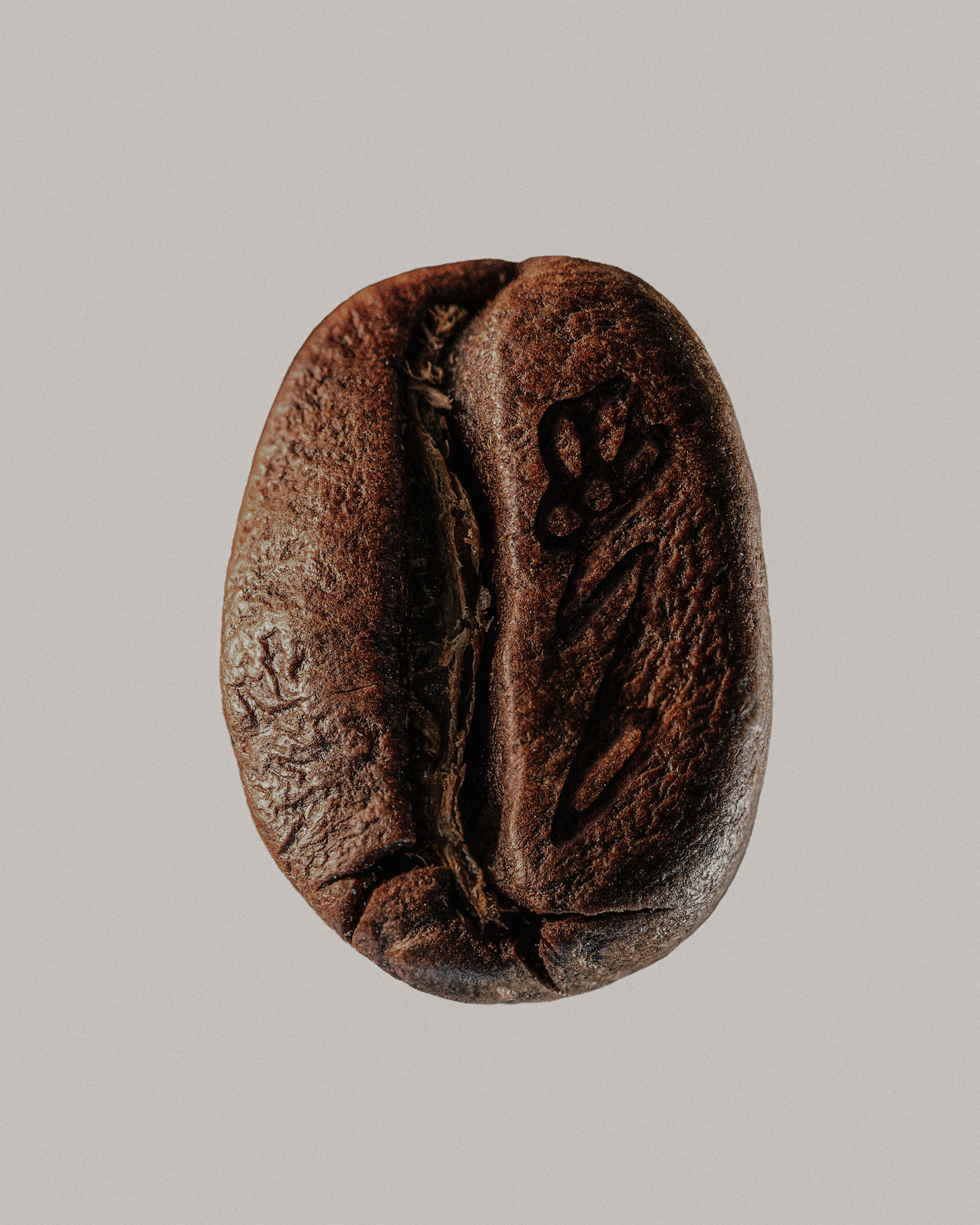 rawty_photography_buna-coffee-04