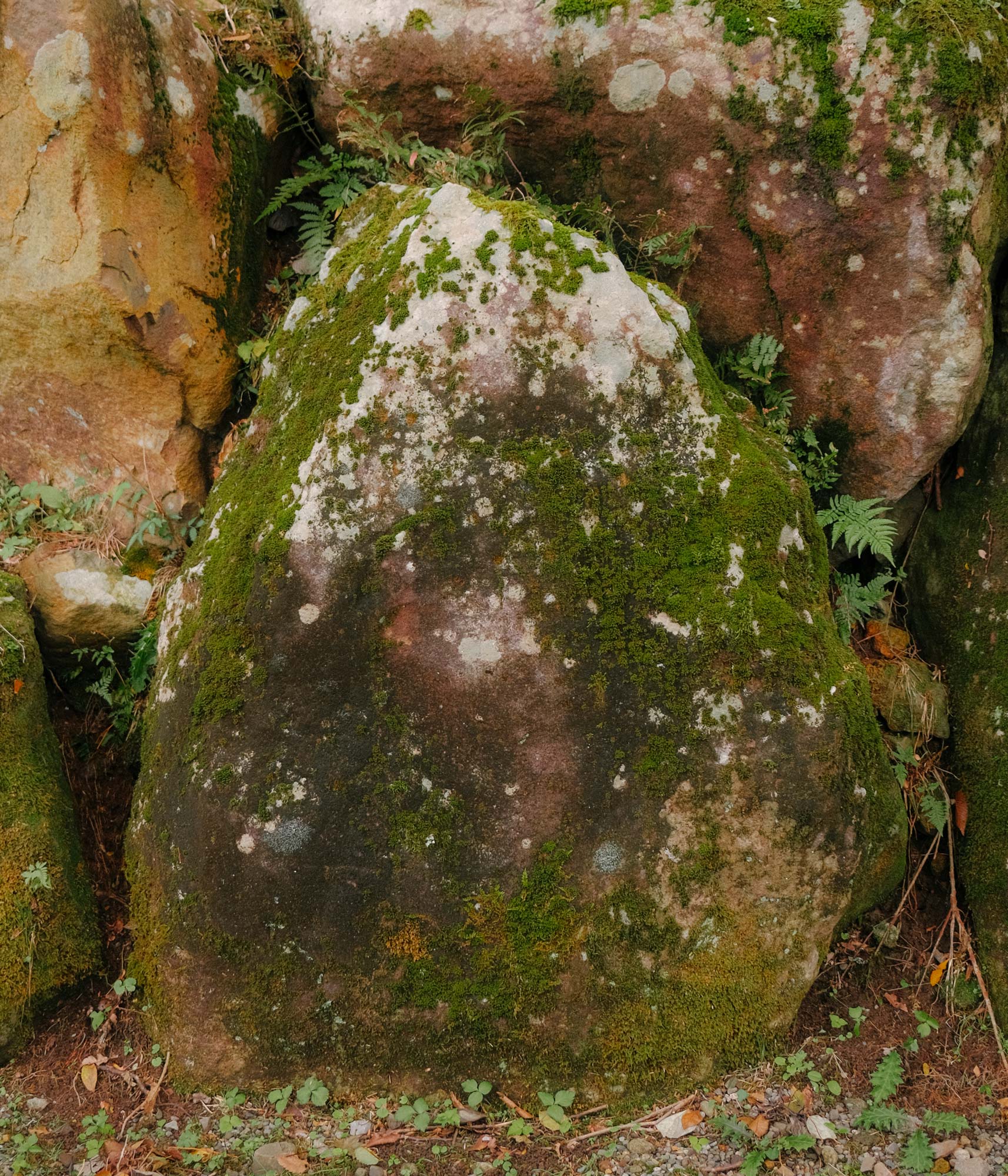 rawty_photography_japan-lake-ashi