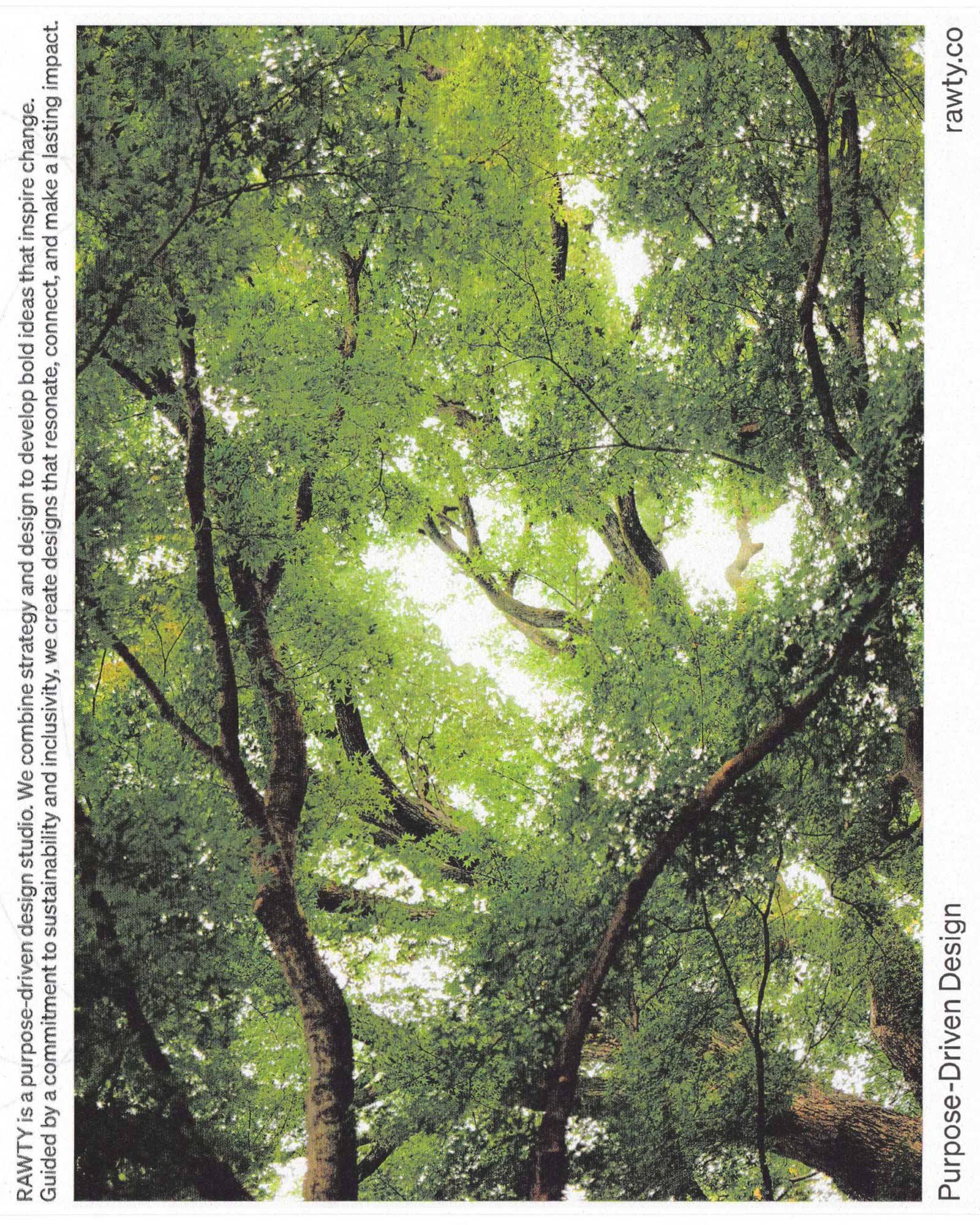 rawty_photography_sustainable-design-01