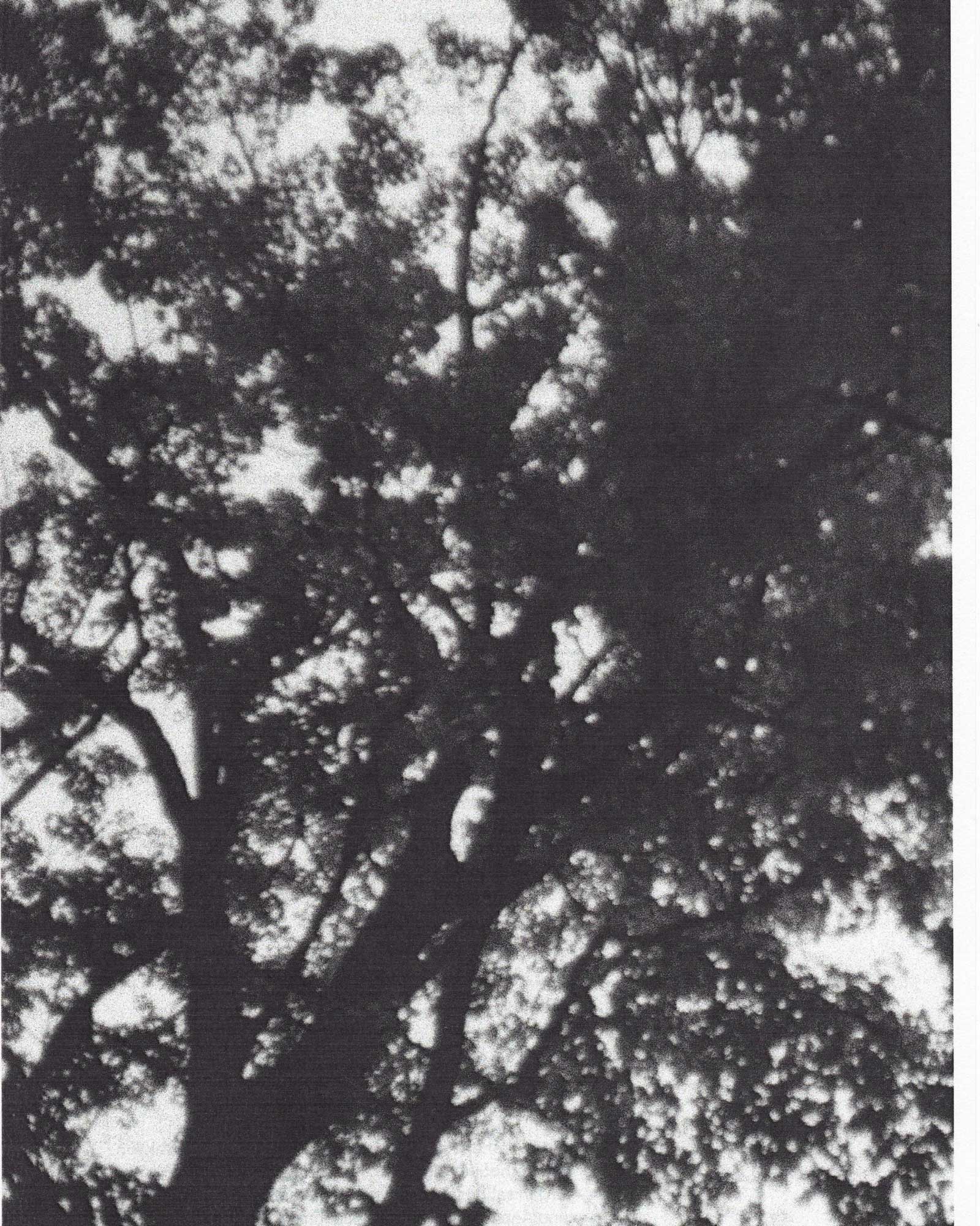 rawty_photography_sustainable-design-02