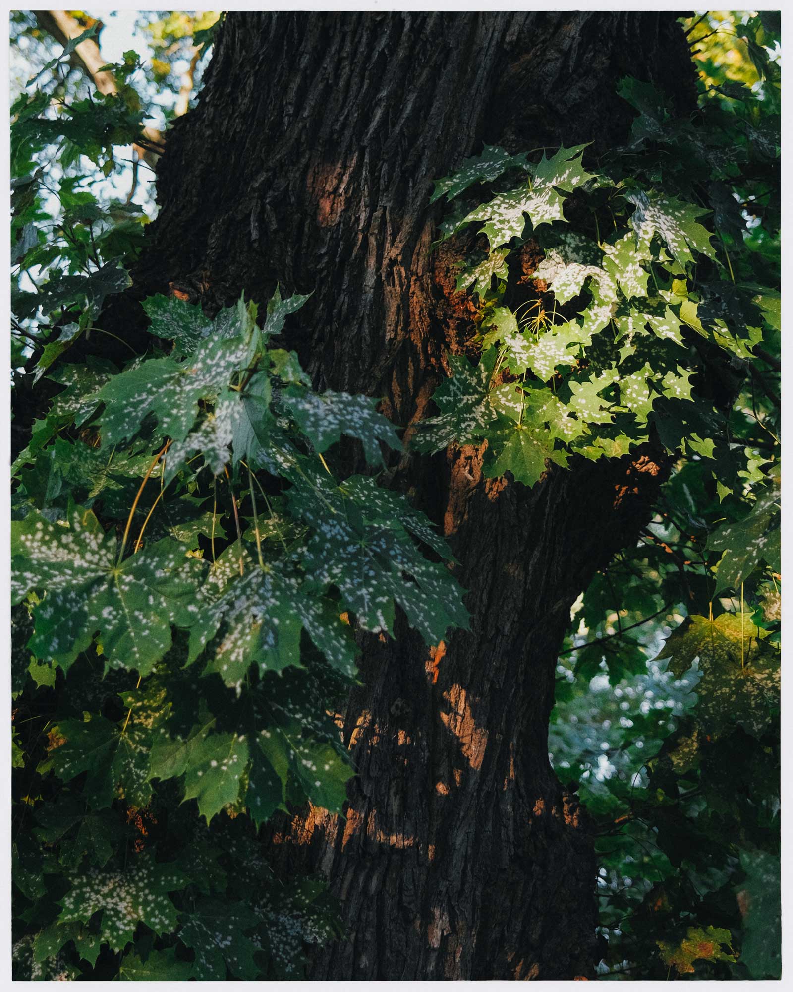 rawty_photography_sweden-stockholm-01