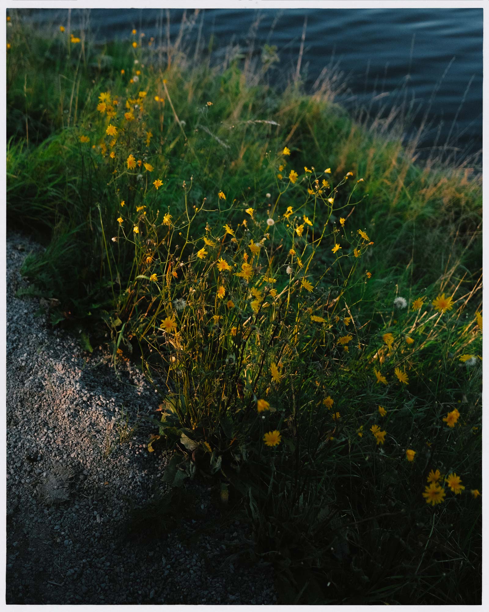 rawty_photography_sweden-stockholm-02