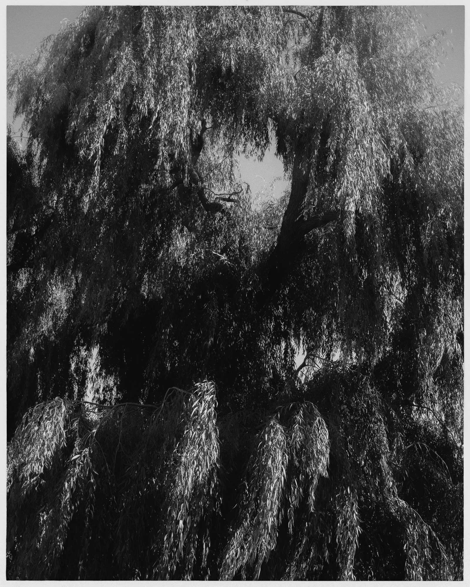 rawty_photography_sweden-stockholm-03