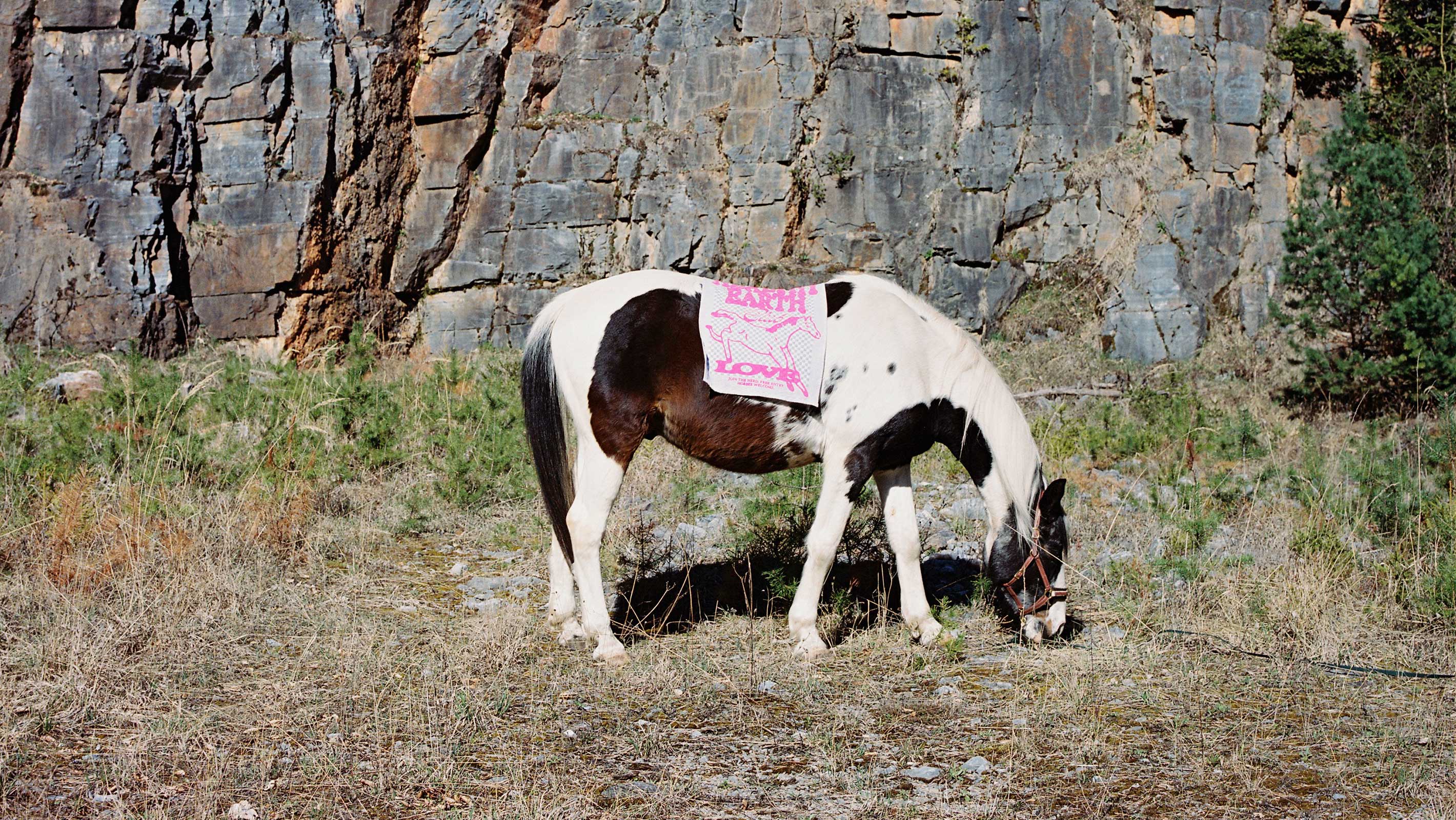 rawty_tea-towel_horse@2x