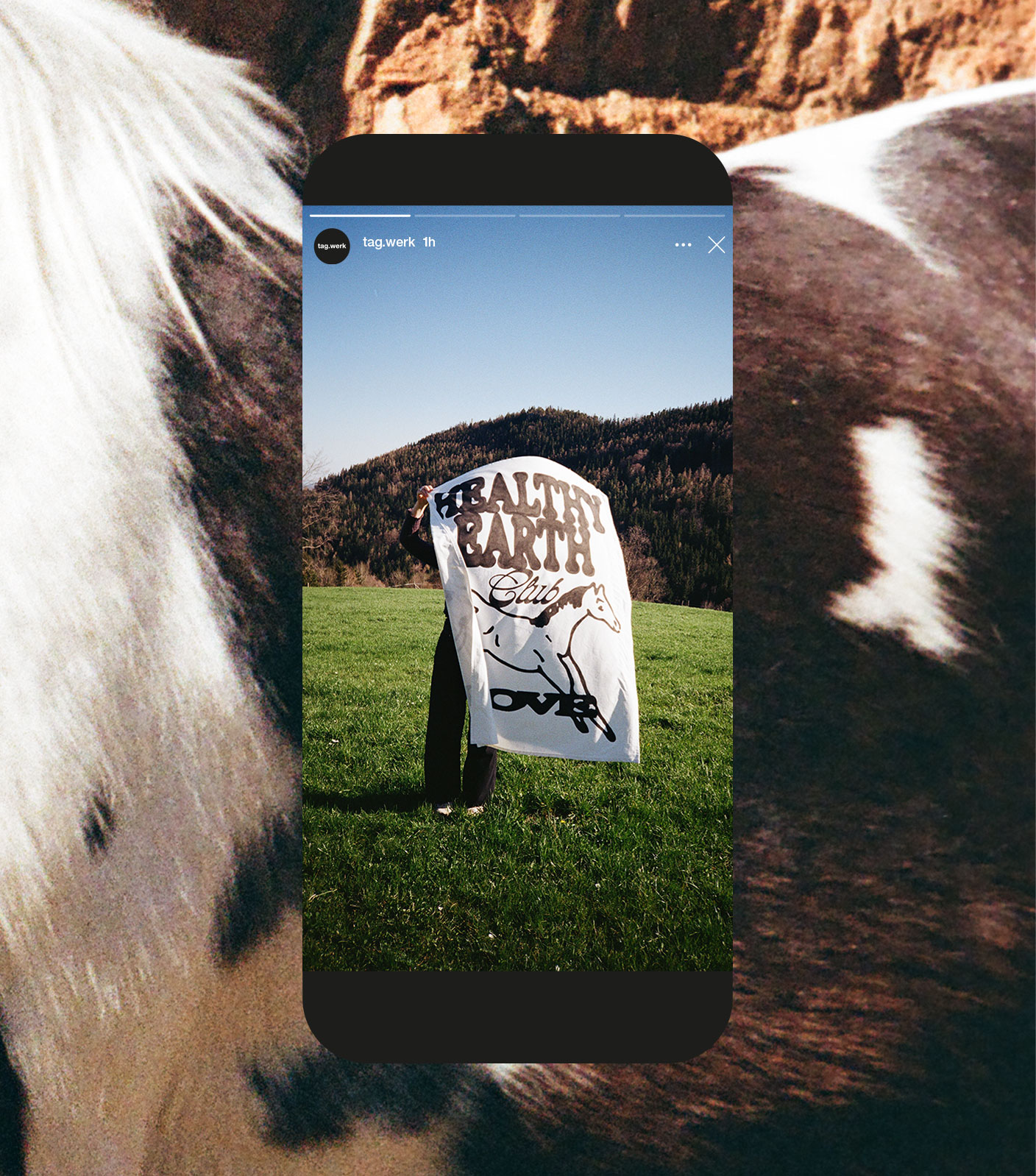rawty_tea-towel_planket-on-meadow@2x